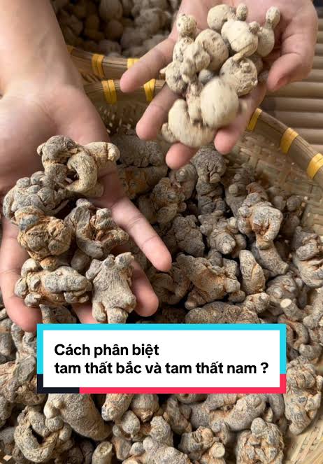 Ảnh 1.