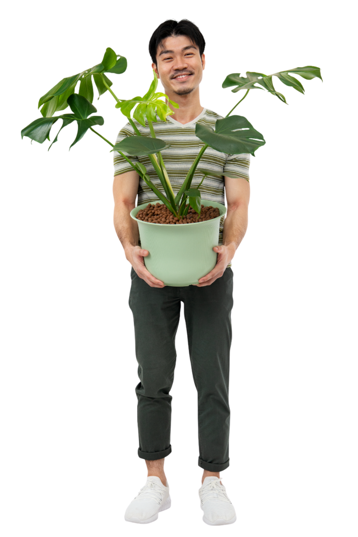 Person holding a plant