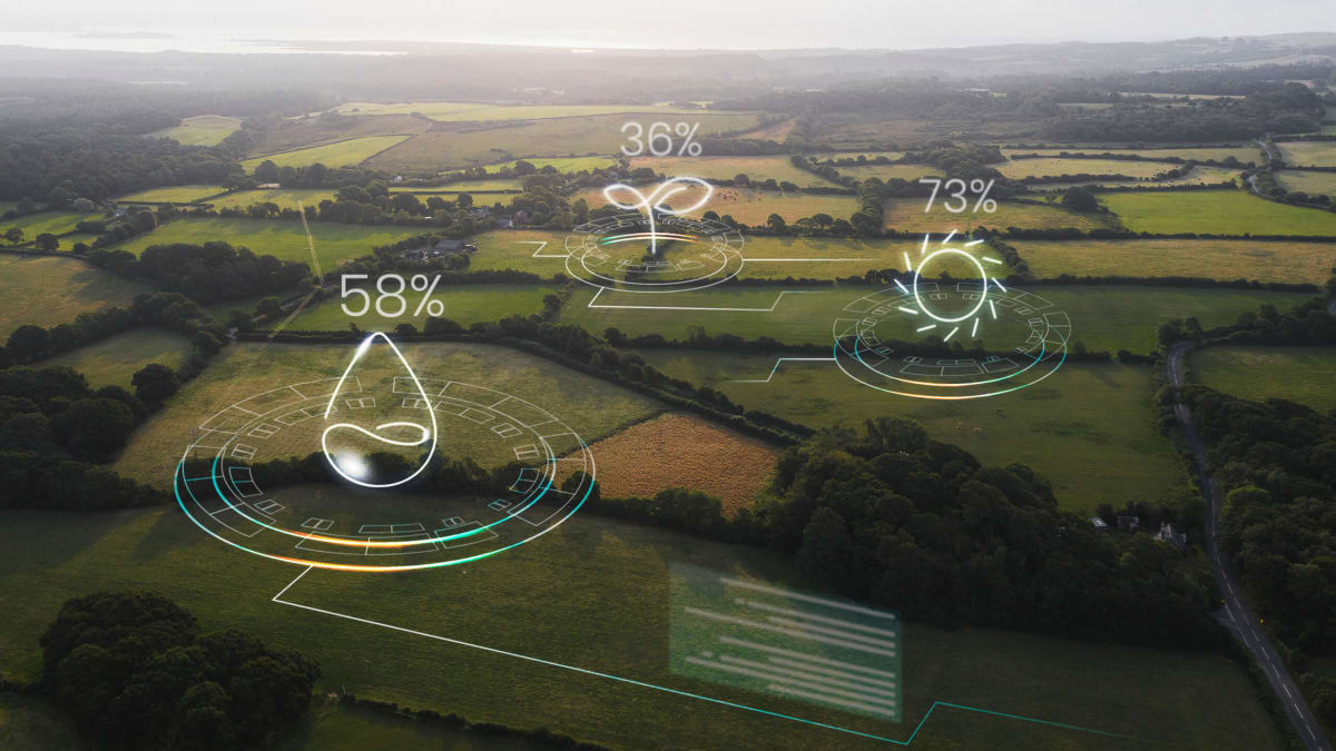 Carbon footprint calculation