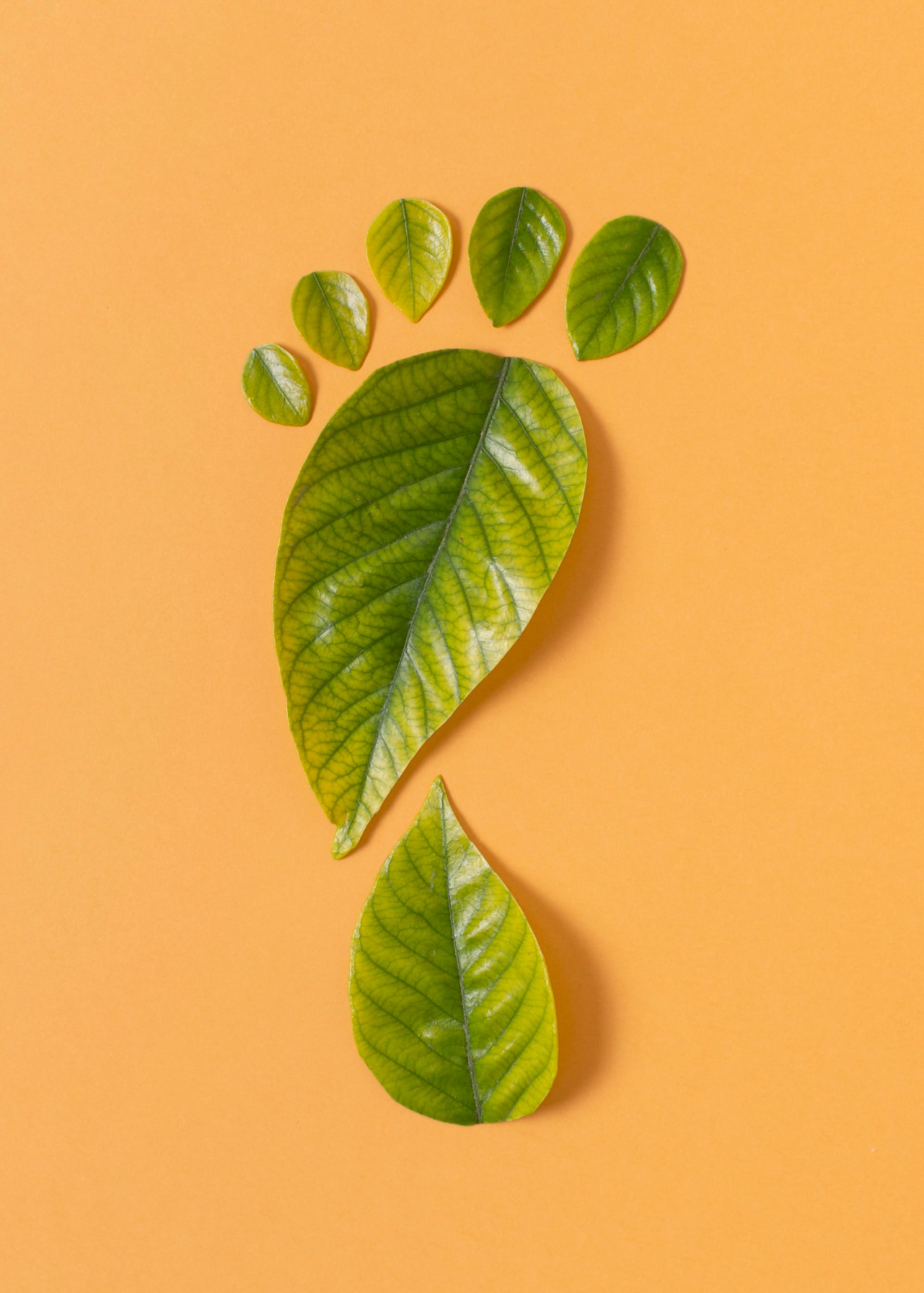 Earth climate change