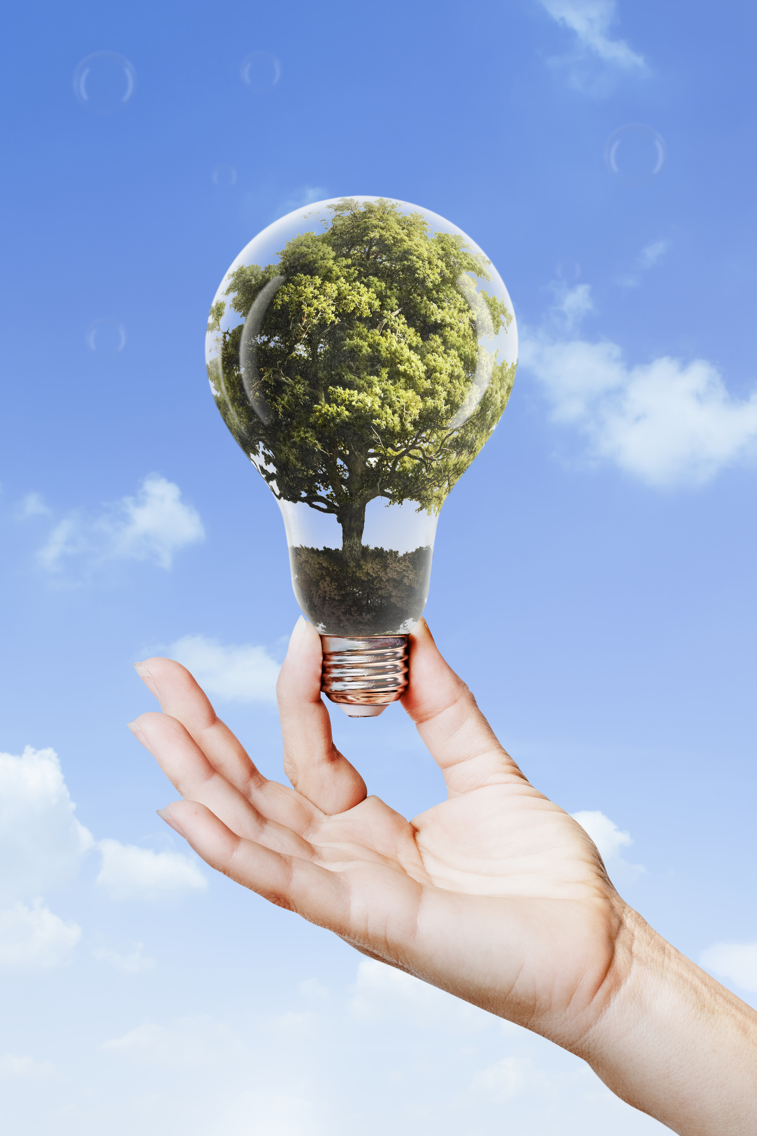 Sustainable Solutions