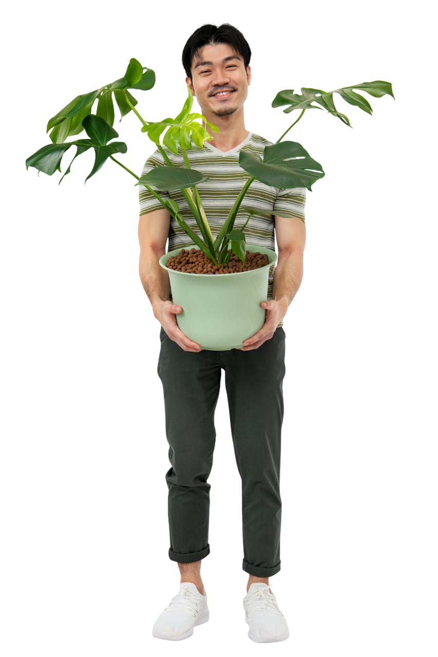 Person holding a plant