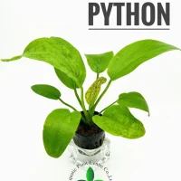 echinodorus-python