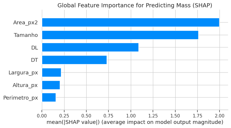 A Figura 4 apresenta o ranking de importância das features para a predição da Massa.