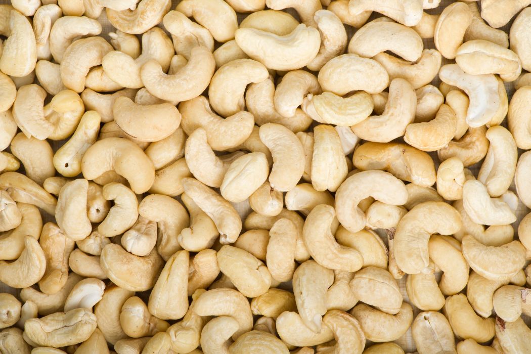Hạt Điều Thô Và Giá Trị Dinh Dưỡng Cho Chế Độ Ăn Healthy 