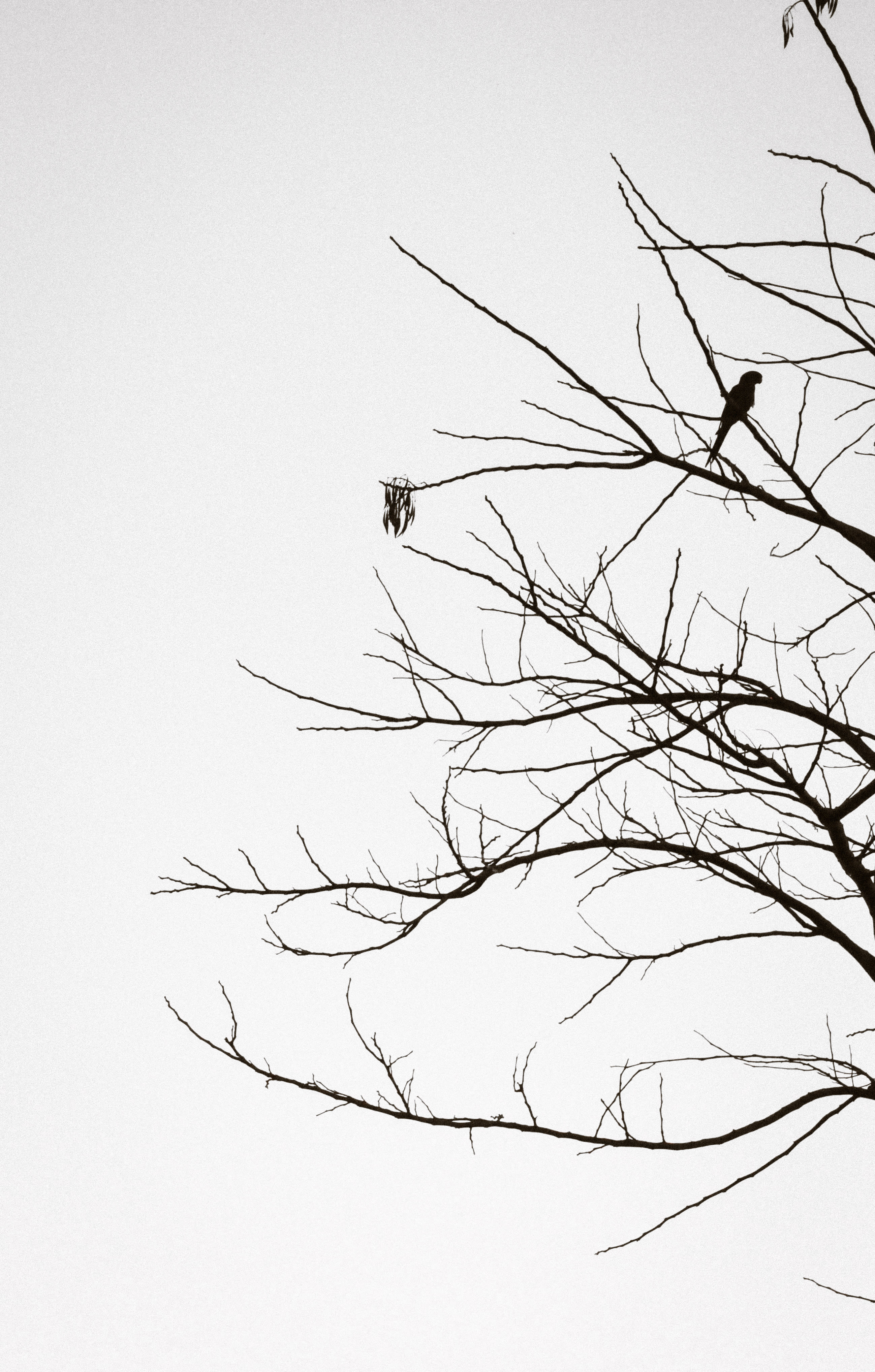  DSC1097 sjb4s4