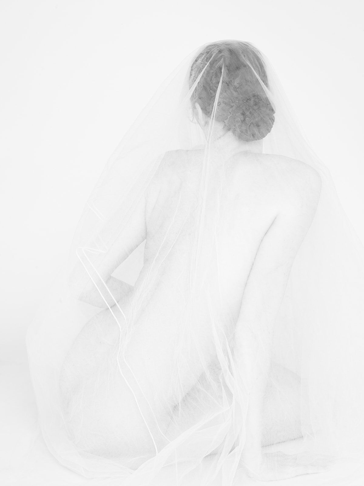 Photograph: back view translucent