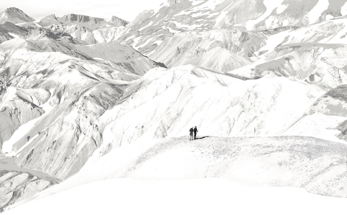 Photograph: giraffes savanna landscape