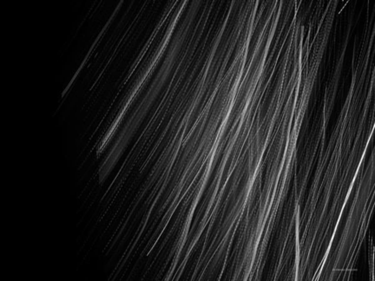 Photograph: motion blur detail