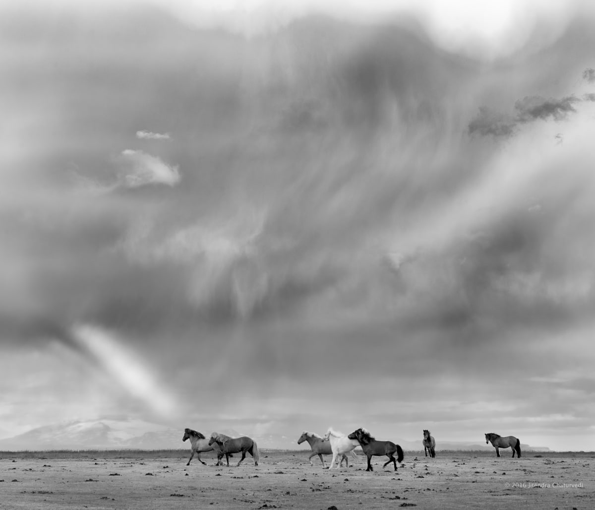 Photograph: wild horses storm clouds