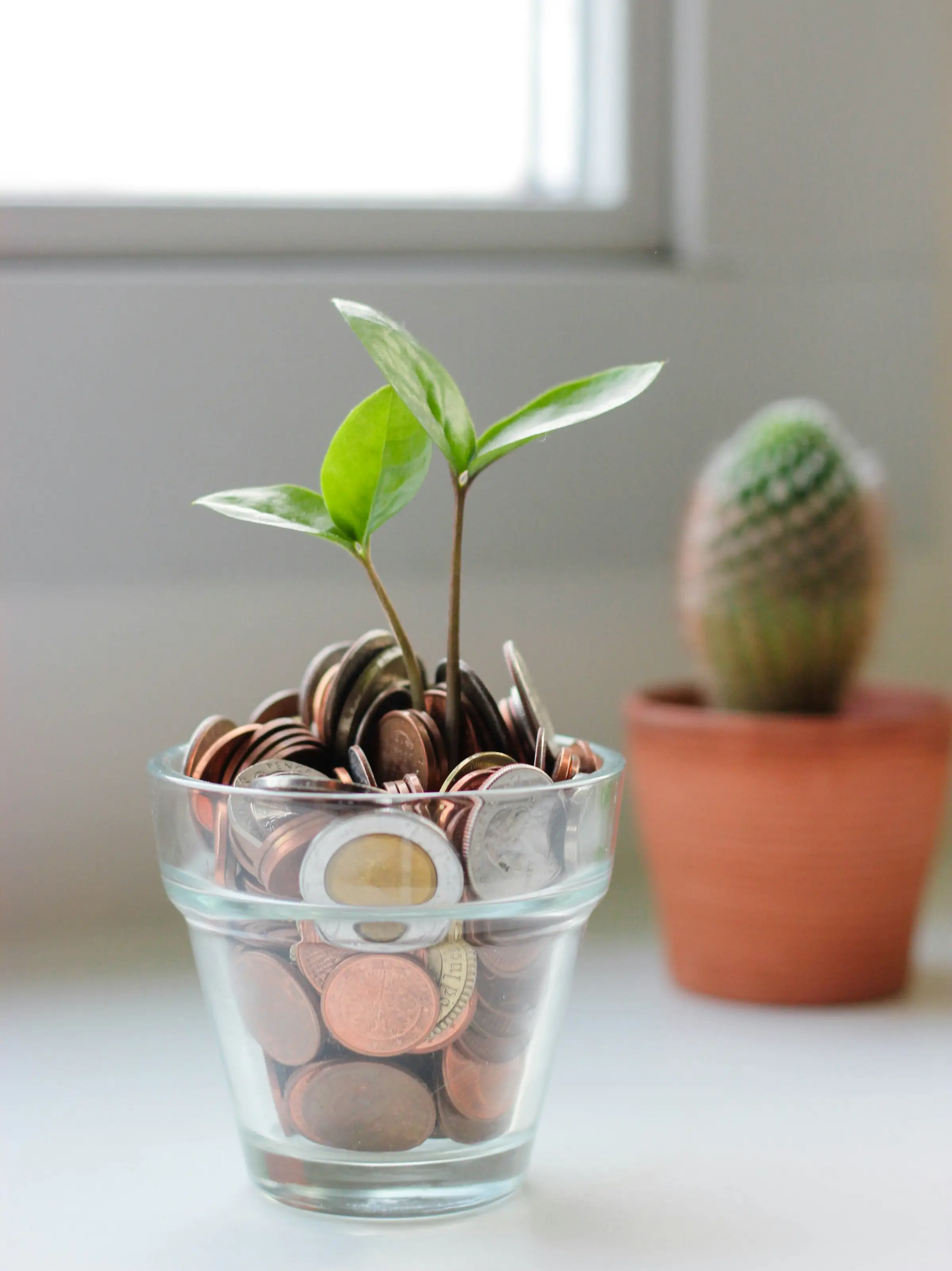 Investment Goals Dashboard