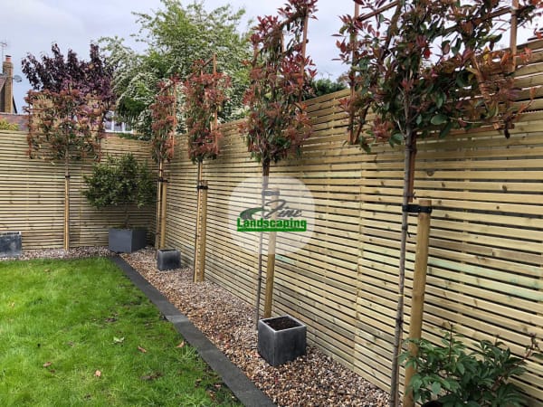 Fencingwithtreeplanters