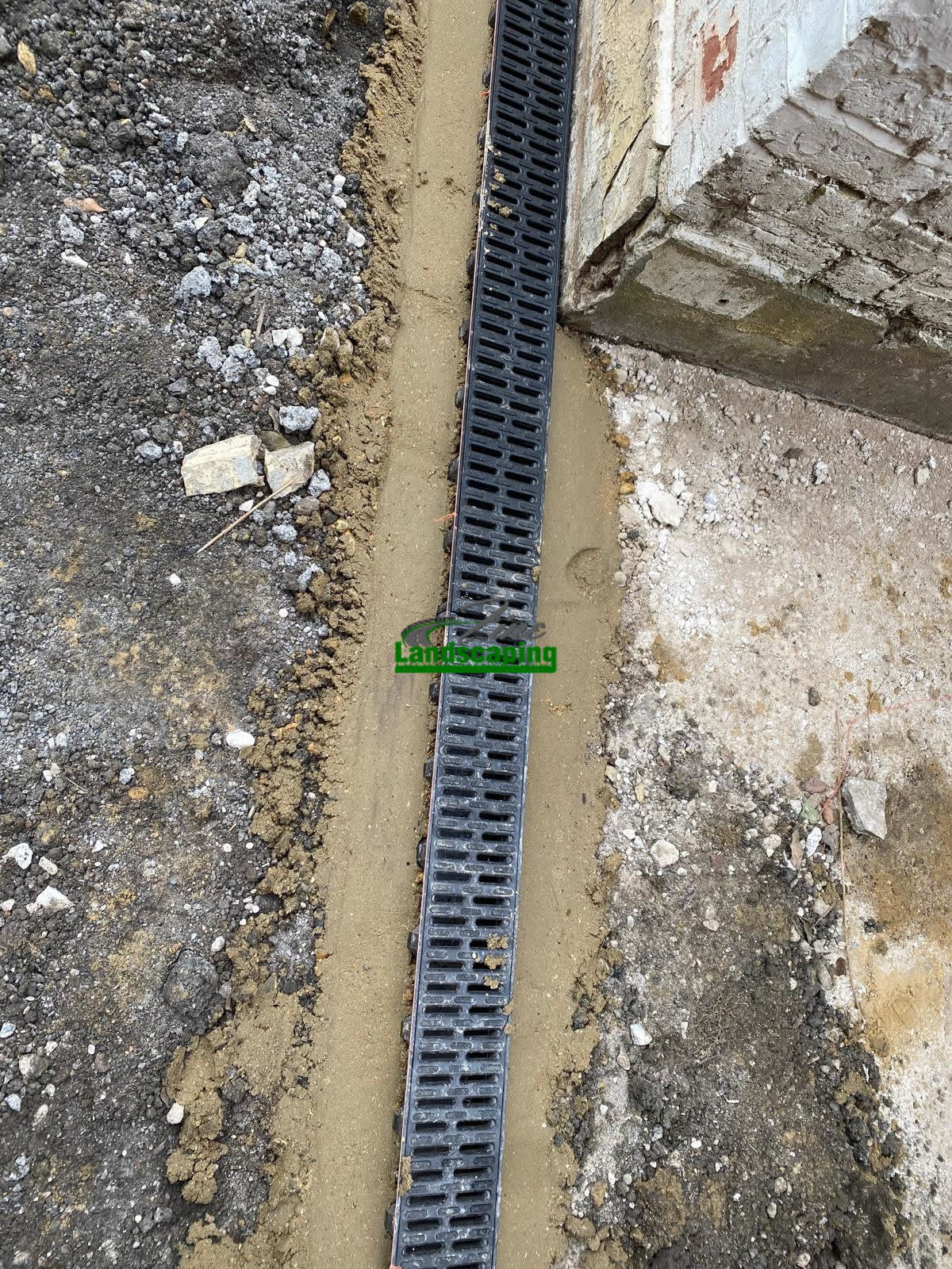 Ellie project gallery 33