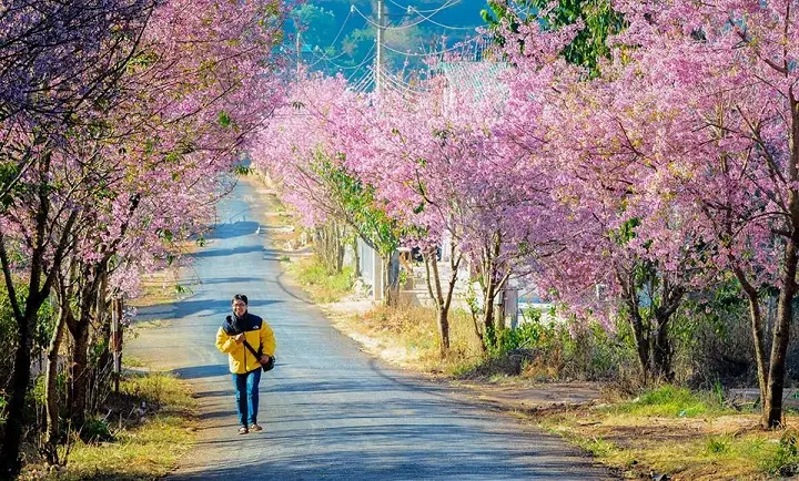 Tìm hiểu chi phí đi Đà Lạt 4 ngày 3 đêm - Hướng dẫn tiết kiệm cho chuyến du lịch hoàn hảo