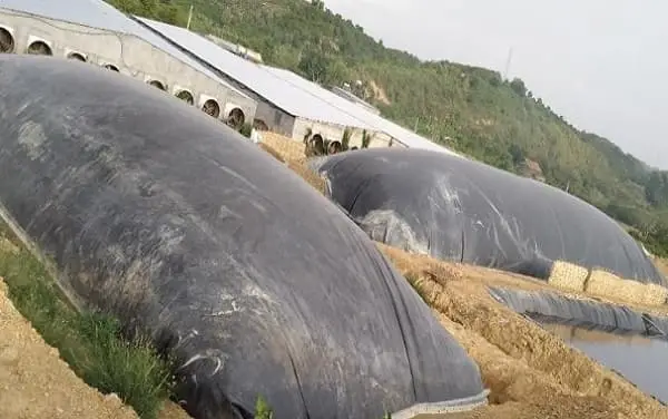 Hầm Biogas Phủ Bạt Nhựa HDPE, giải pháp sáng tạo cho năng lượng tái tạo