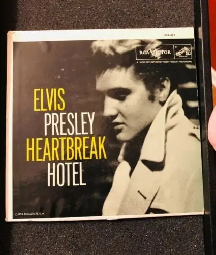 Uncovering the Tragic Story Behind Elvis Presley's Hit Song 'Heartbreak Hotel'