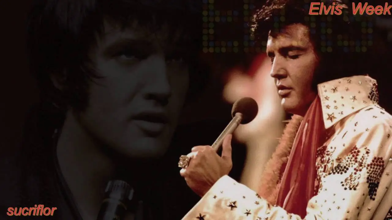 Uncovering the Mystery of Elvis Presley's Iconic Song 'What Now My Love'