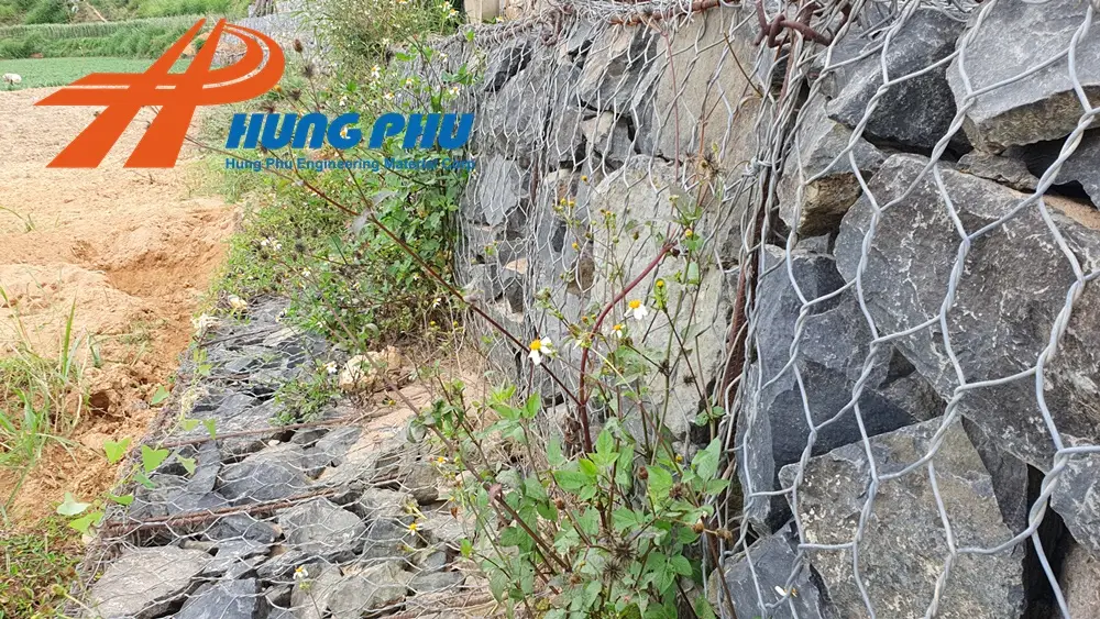 Rọ đá - Giải pháp bền vững cho xây dựng đê điều, thủy lợi và bảo vệ môi trường