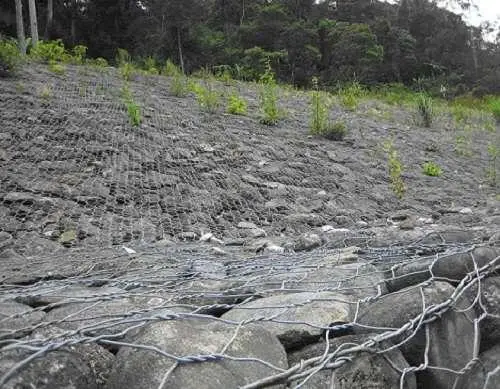 Rọ đá mạ kẽm, giá cả và ứng dụng của nó trên thị trường Việt Nam hiện nay