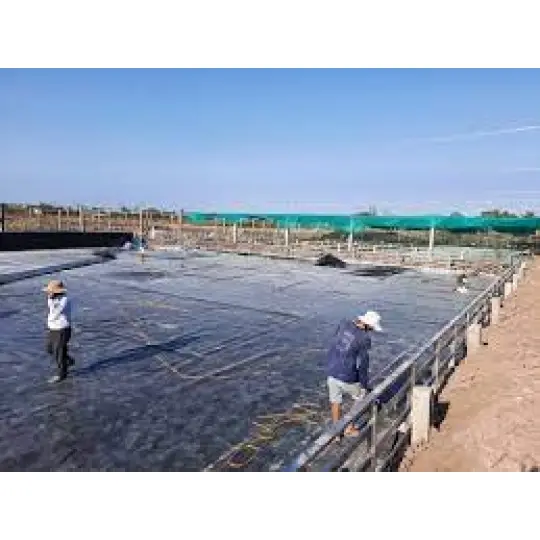 Bạt HDPE 0.5 mm giá bao nhiêu?