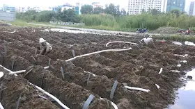 Bấc Thấm Hút Chân Không Một Cuộc Cách Mạng Trong xử lý nền móng Bấc Thấm Hút Chân Không Một Cuộc Cách Mạng Trong Xây Dựng