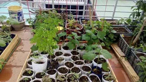Túi vải trồng cây may từ Vải địa kỹ thuật ART, tạo vườn rau sạch Túi trồng cây