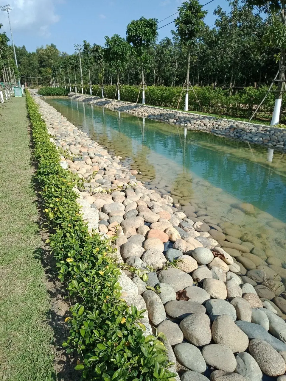 Màng Chống Thấm HDPE Dày 0.5 mm - Giải Pháp Toàn Diện Cho Nuôi Trồng Thủy Sản Màng Chống Thấm HDPE Dày 0.5 mm - Giải Pháp Toàn Diện Cho Nuôi Trồng Thủy Sản