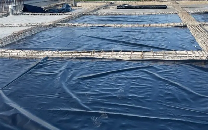 Màng Chống Thấm HDPE Dày 0.3 mm - Phổ biến trong nuôi trồng thủy sản Màng Chống Thấm HDPE Dày 0.3 mm - Giải Pháp An Toàn Cho Công Trình Xây Dựng
