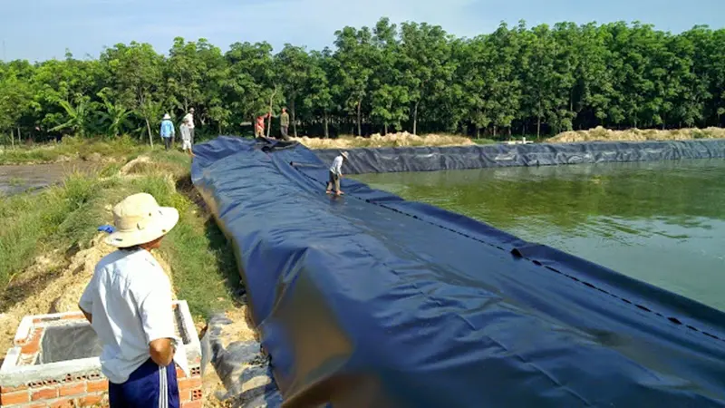 Bán Lẻ Màng Chống Thấm HDPE - Giải Pháp Hiệu Quả Cho Nhu Cầu Ngày Càng Tăng Cao Bán Lẻ Màng Chống Thấm HDPE - Giải Pháp Hiệu Quả Cho Nhu Cầu Ngày Càng Tăng Cao