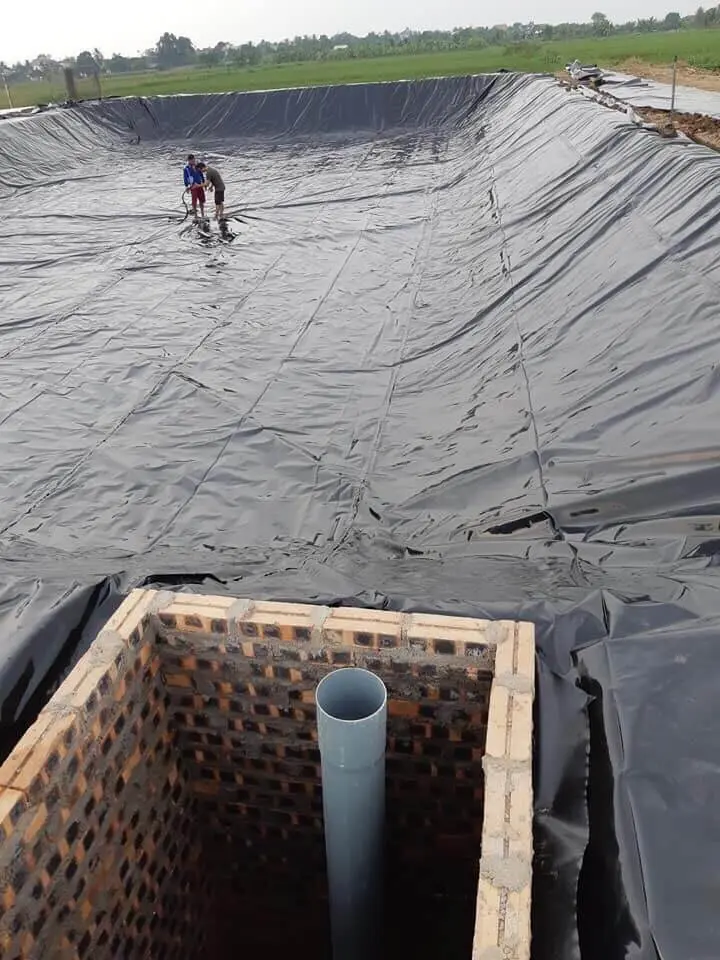 Giá Bạt Nhựa HDPE - Giải Pháp Toàn Diện Cho Nông Nghiệp & Thủy Sản Giá Bạt Nhựa HDPE - Giải Pháp Toàn Diện Cho Nông Nghiệp Thủy Sản