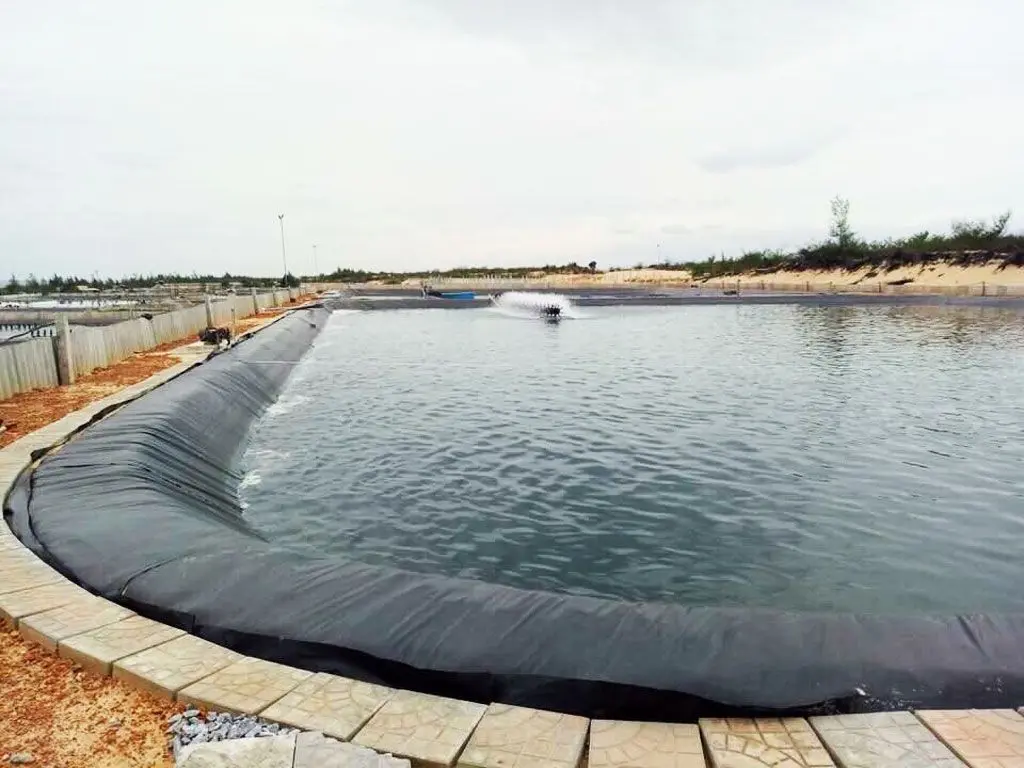 Giá Bạt Nhựa HDPE - Giải Pháp Toàn Diện Cho Nông Nghiệp & Thủy Sản Giá Bạt Nhựa HDPE - Giải Pháp Toàn Diện Cho Nông Nghiệp Thủy Sản