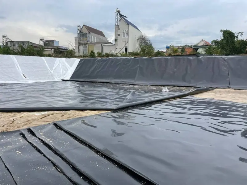 Bạt HDPE 1mm - Giải pháp Chống Thấm Toàn Diện & Tiết Kiệm Chi Phí Bạt HDPE 1mm - Giải pháp Chống Thấm Toàn Diện Tiết Kiệm Chi Phí