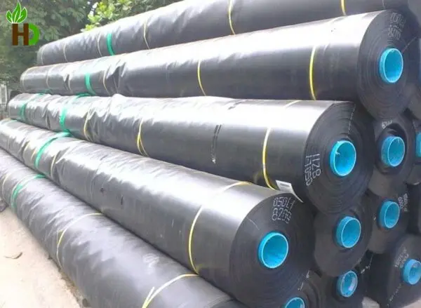 Giá Bạt Nhựa HDPE 0.5 mm - Giải pháp chống thấm tối ưu cho nông nghiệp & xây dựng Giá Bạt Nhựa HDPE 0.5 mm - Giải pháp chống thấm tối ưu cho nông nghiệp xây dựng