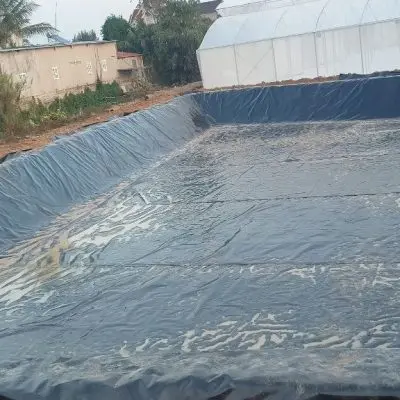 Bạt HDPE 2mm - Giải Pháp Chống Thấm Đáng Tin Cậy Cho Mọi Công Trình Bạt HDPE 2mm - Giải Pháp Chống Thấm Đáng Tin Cậy Cho Mọi Công Trình