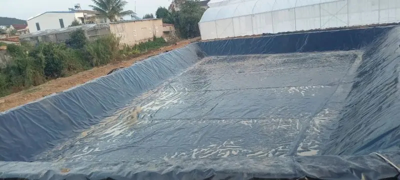 Bạt HDPE 2mm - Giải Pháp Chống Thấm Đáng Tin Cậy Cho Mọi Công Trình Bạt HDPE 2mm - Giải Pháp Chống Thấm Đáng Tin Cậy Cho Mọi Công Trình