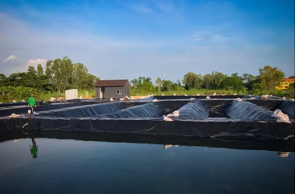 Giá Bạt HDPE 0.3 mm - Chọn lựa thông minh cho nông nghiệp và xây dựng hiện đại Giá Bạt HDPE 0.3 mm - Chọn lựa thông minh cho nông nghiệp và xây dựng hiện đại