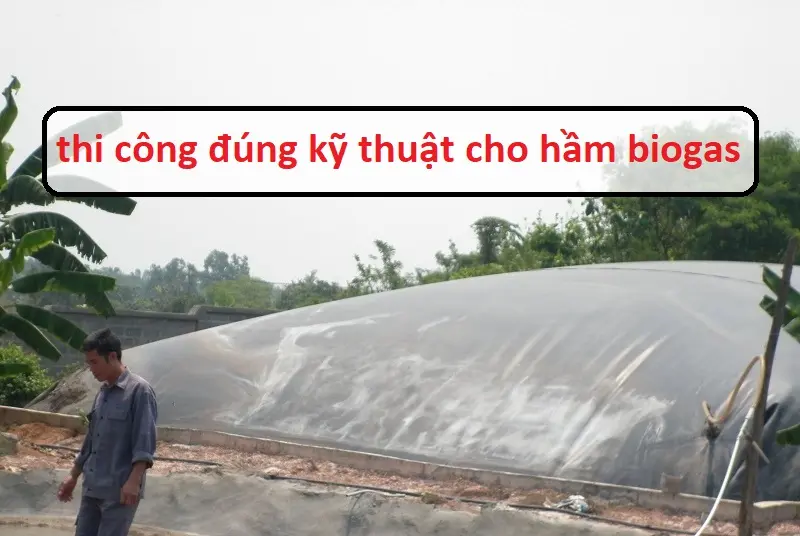 Thi Công Hầm Biogas Bằng Màng HDPE Giá Rẻ - Giải Pháp Bền Vững Cho Nông Thôn Việt Nam Thi Công Hầm Biogas Bằng Màng HDPE Giá Rẻ - Giải Pháp Bền Vững Cho Nông Thôn Việt Nam