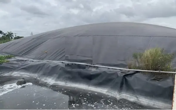 Thi Công Hầm Biogas Bằng Màng HDPE Giá Rẻ - Giải Pháp Bền Vững Cho Nông Thôn Việt Nam Thi Công Hầm Biogas Bằng Màng HDPE Giá Rẻ - Giải Pháp Bền Vững Cho Nông Thôn Việt Nam