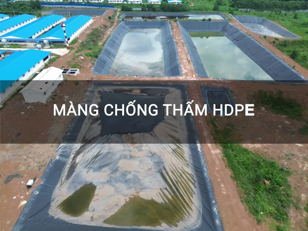 Màng HDPE Nhập Khẩu - Đặc Điểm Nổi Bật và Lợi Ích Vượt Trội Trong Xây Dựng Màng HDPE Nhập Khẩu - Đặc Điểm Nổi Bật và Lợi Ích Vượt Trội Trong Xây Dựng