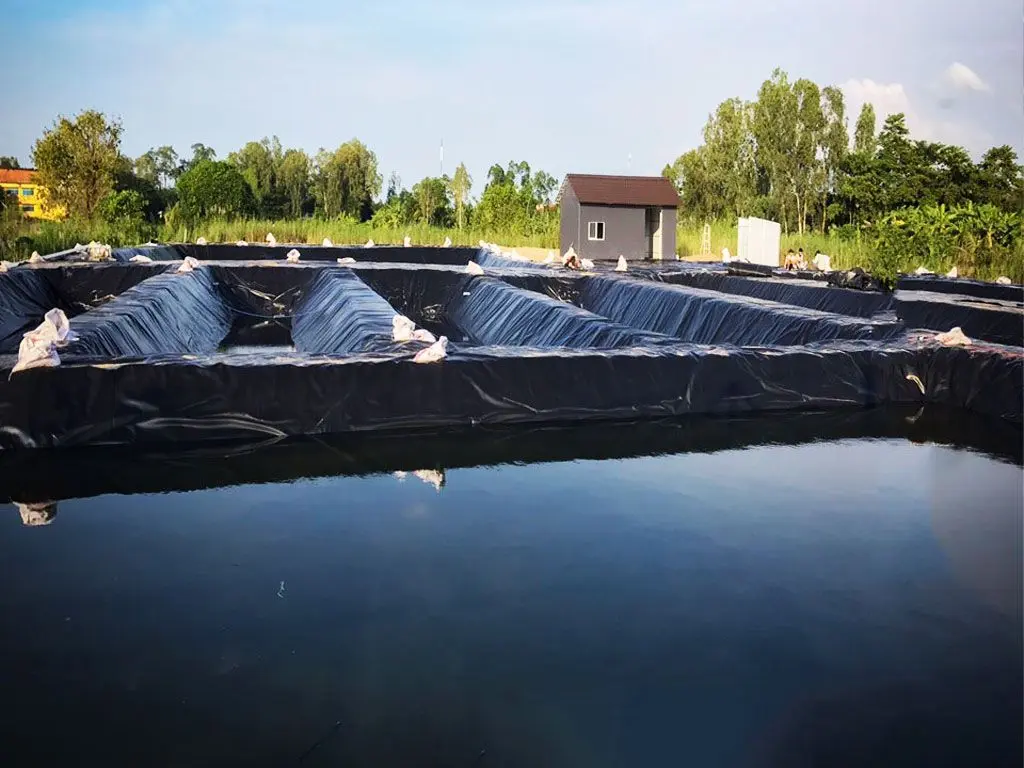 Bạt lót chống thấm - Giải pháp hoàn hảo cho môi trường nước bền vững Bạt lót chống thấm - Giải pháp hoàn hảo cho môi trường nước bền vững