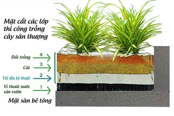 Vải Địa Trồng Cây - Giải Pháp Xanh Thông Minh Cho Cảnh Quan Đô Thị Vải Địa Trồng Cây - Giải Pháp Xanh Thông Minh Cho Cảnh Quan Đô Thị