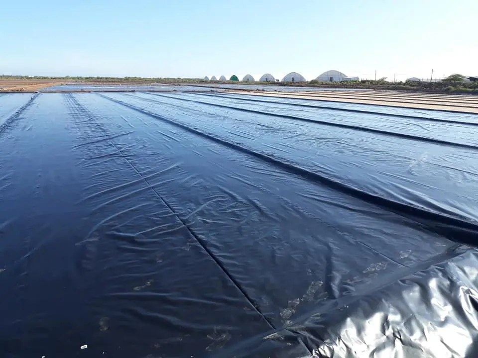 Biện Pháp Thi Công Màng Chống Thấm HDPE - Bí Quyết Từ Chuyên Gia Biện Pháp Thi Công Màng Chống Thấm HDPE - Bí Quyết Từ Chuyên Gia
