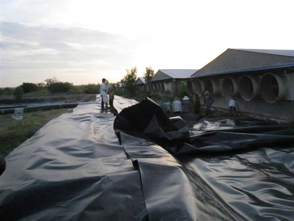 Thi Công Hàn Bạt HDPE - Bí Quyết Cho Công Trình Bền Vững