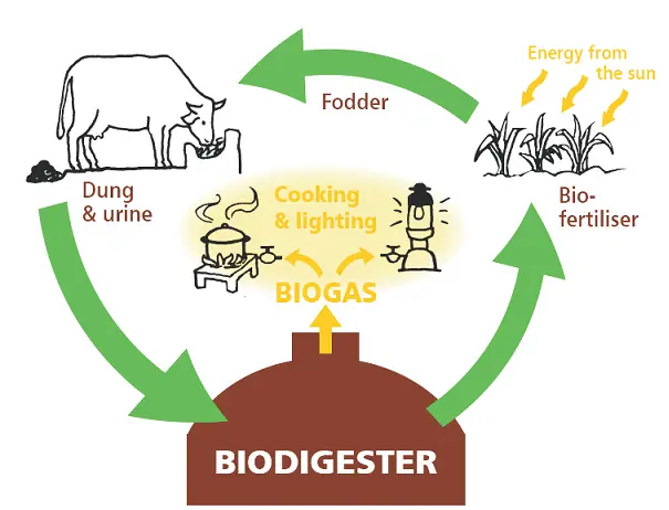 Cấu Tạo Hầm Biogas HDPE - Giải Pháp Xanh Cho Tương Lai Cấu Tạo Hầm Biogas HDPE - Giải Pháp Xanh Cho Tương Lai