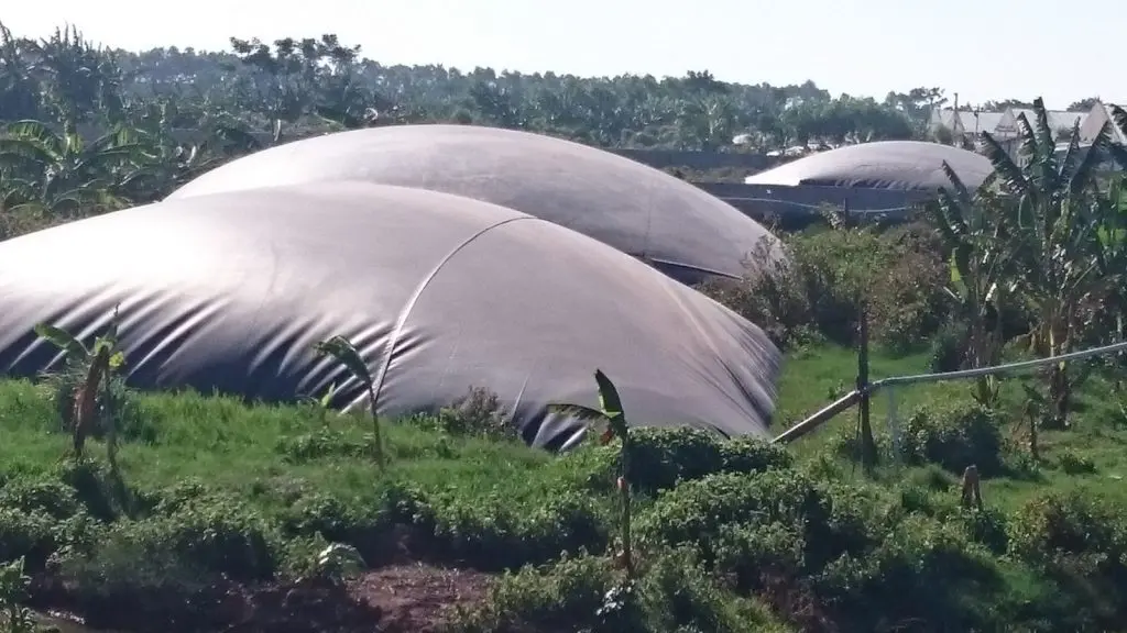 Túi Ủ Biogas HDPE - Giải Pháp Xanh Cho Nguồn Năng Lượng Sạch Túi Ủ Biogas HDPE - Giải Pháp Xanh Cho Nguồn Năng Lượng Sạch