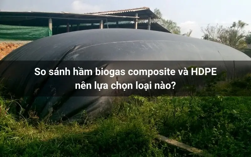 Túi Biogas Ứng Dụng Vật Liệu HDPE - Giải Pháp Xanh Cho Năng Lượng Sạch Túi Biogas Ứng Dụng Vật Liệu HDPE - Giải Pháp Xanh Cho Năng Lượng Sạch