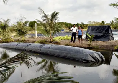 Hầm Biogas HDPE - Giải Pháp Xanh Cho Tương Lai Hầm Biogas HDPE - Giải Pháp Xanh Cho Tương Lai