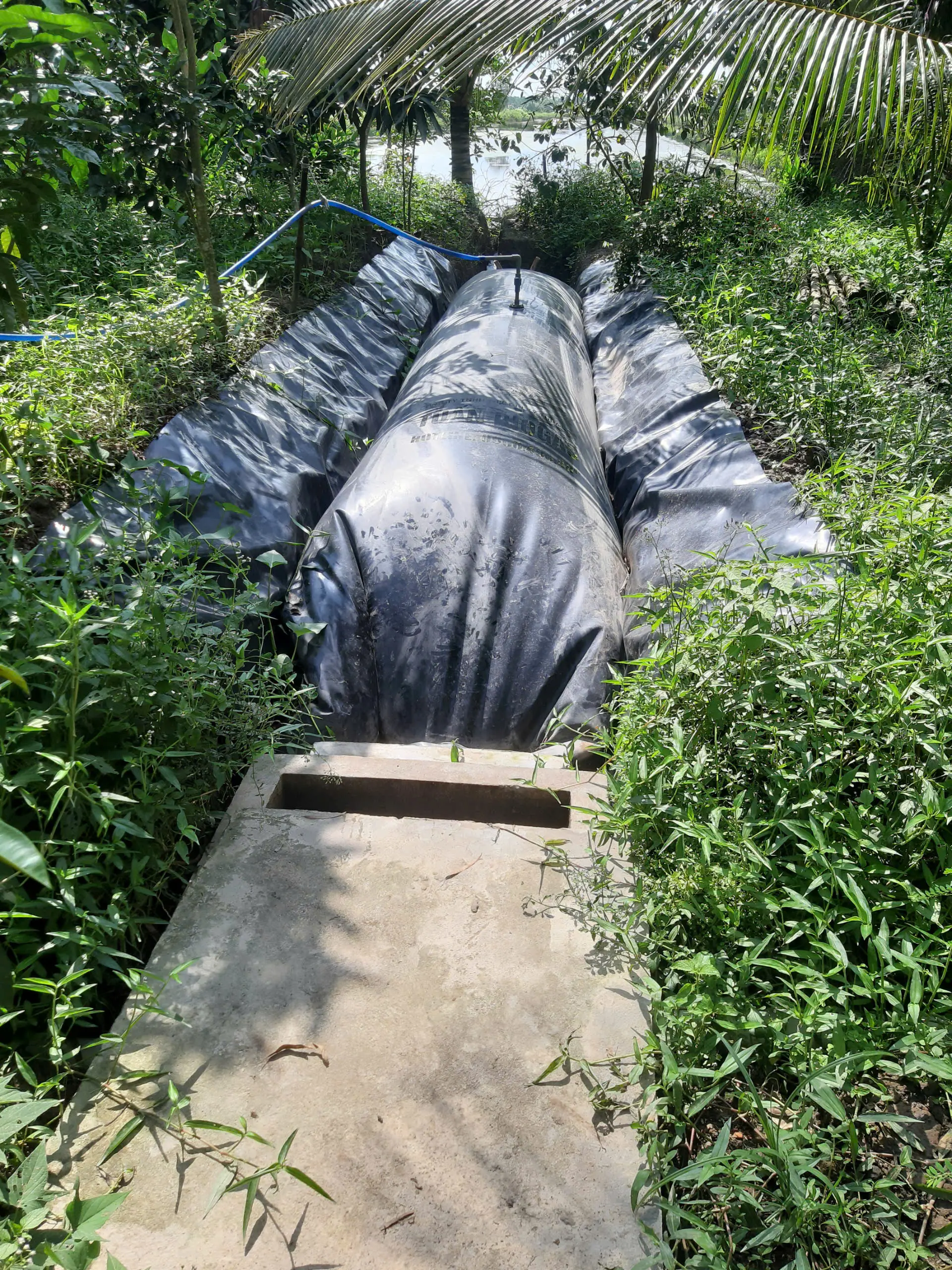 Túi Biogas HDPE - Giải Pháp Xanh Cho Ngành Chăn Nuôi Túi Biogas HDPE - Giải Pháp Xanh Cho Ngành Chăn Nuôi