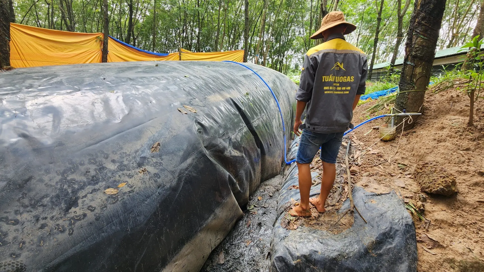 Túi Biogas HDPE - Giải Pháp Xanh Cho Ngành Chăn Nuôi Túi Biogas HDPE - Giải Pháp Xanh Cho Ngành Chăn Nuôi