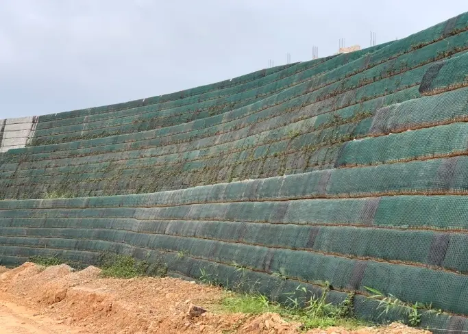 Báo giá lưới địa kỹ thuật - Cập nhật mới nhất 2025 cho dự án xây dựng Báo Giá Lưới Địa - Bí Quyết Cho Nền Móng Vững Chắc